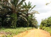 Foto: Women of the Tribe and Search of Freshwater Dolphins in Borneo